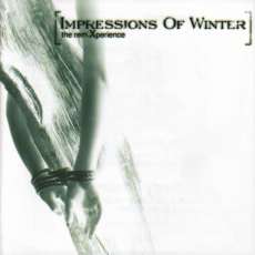 Impressions of winter - The RemiXperience Cover