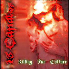 13 Candles - Killing For Culture Cover