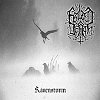 Frozen Death - Ravenstorm Cover