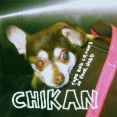 Chikan - Cops And Crooks In Your Head Cover