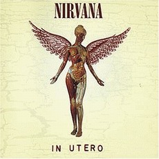 Nirvana - In Utero Cover