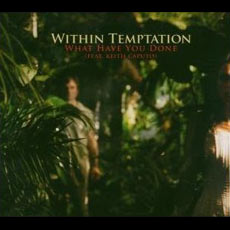 Within Temptation - What Have You Done Cover