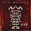 Ray Wilson mit Stiltskin - Live Cover