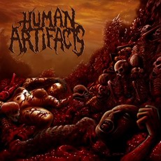 Human Artifacts - The Principles Of Sickness Cover