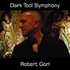 Robert Görl - Dark Tool Symphony Cover