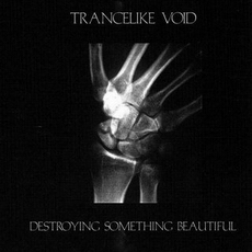 Trancelike Void - Destroying Something Beautiful Cover