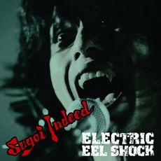 Electric Eel Shock - Sugoi Indeed Cover