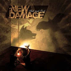 New Damage - Ze'eb And Oreb Cover