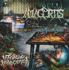 Amagortis - Intrinsic Indecency Cover