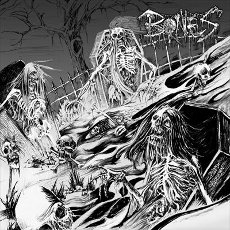 Bones - Bones Cover
