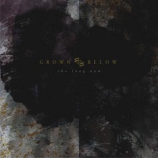 Grown Below - The Long Now Cover