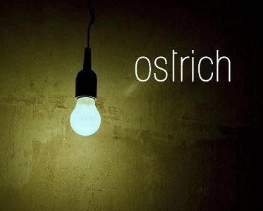 Ostrich - The Ostrich Effect Cover