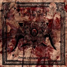 Flagellated Seraph - Beyond Salvation Cover