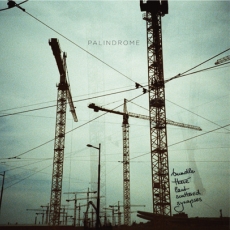 Palindrome - Bundle These Last Scattered Synapses Cover