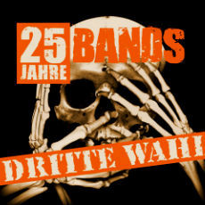 25 Bands - 25 Jahre Dritte Wahl Cover