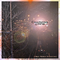 Charming Timur - A Brief Moment Of Existence Cover