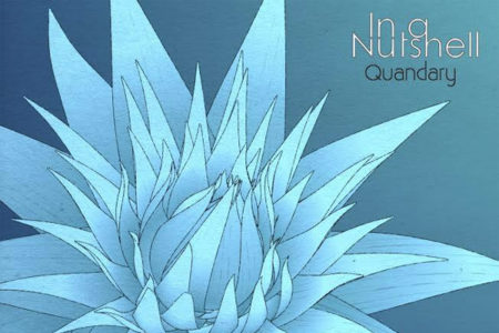 In A Nutshell - Quandary Cover