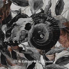 All We Expected / Raum Kingdom - Split Cover