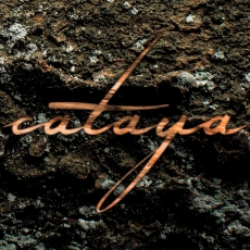Cataya - Sukzession Cover