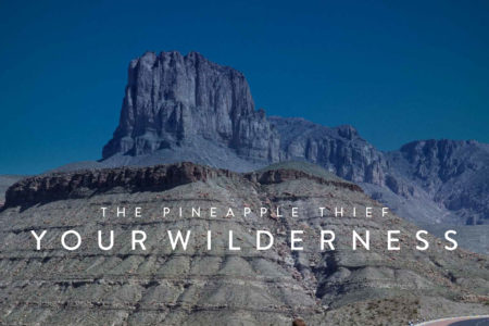 Cover Artwork zu "Your Wilderness" von The Pineapple Thief