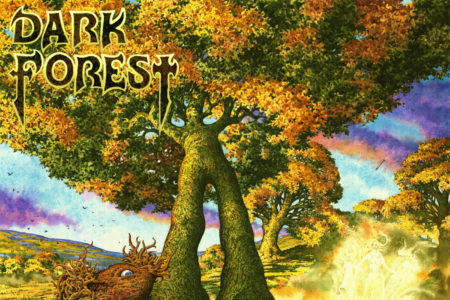 dark-forest-beyond-the-veil