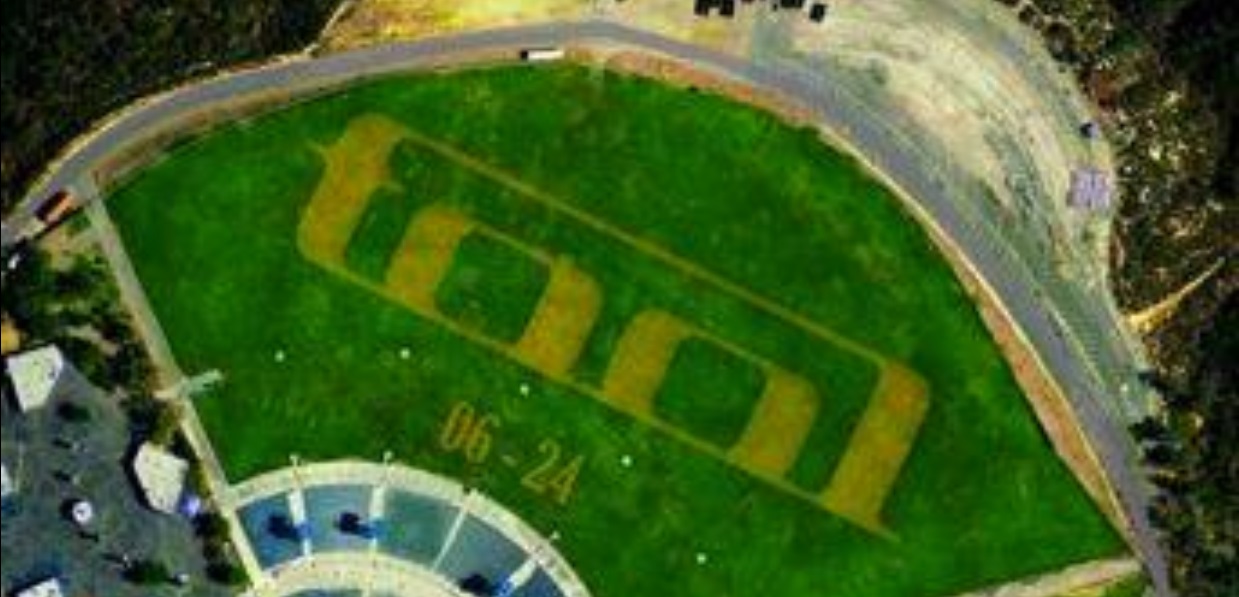 Bild Tool Ankündigung