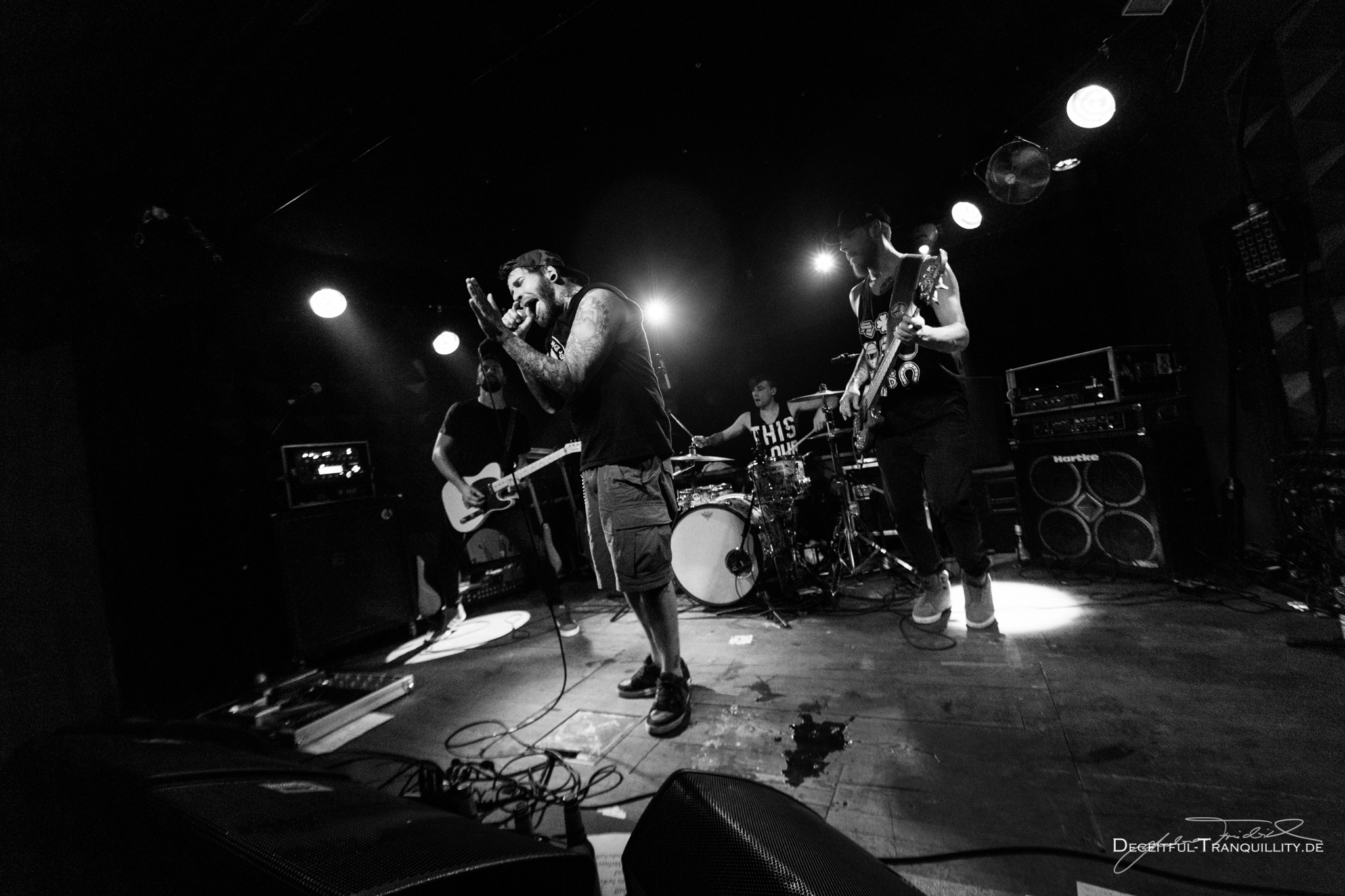 Konzertfoto von Engst am 24. Juli 2017 im Badehaus, Berlin