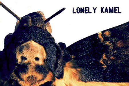 Lonely Kamel