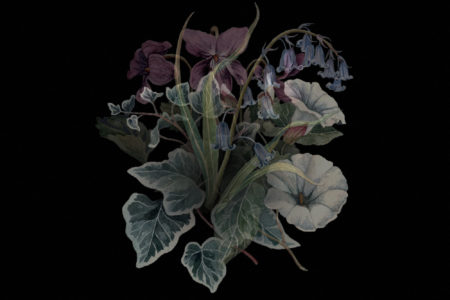 Nhor - Wildflowers (Cover)