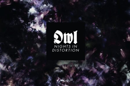 Cover Artwork des Albums "Nights In Distortion" von OWL