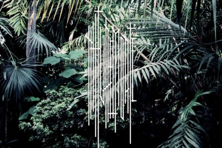 Nature Morte – NM1 (Cover)