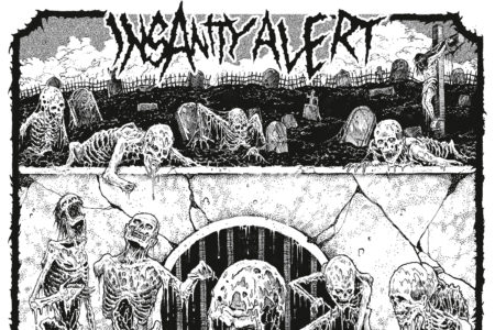 Insanity Alert - 666-Pack Cover