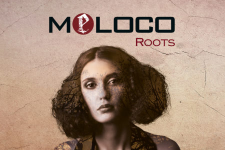 Cover von MELOCOs Album "Roots"