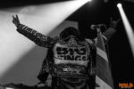 Konzertfoto von Skindred auf der Evolution Tour 2019