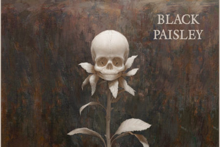 Cover Artwork von "Perennials " von BLACK PAISLEY