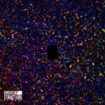 Uneven Structure - Paragon Cover