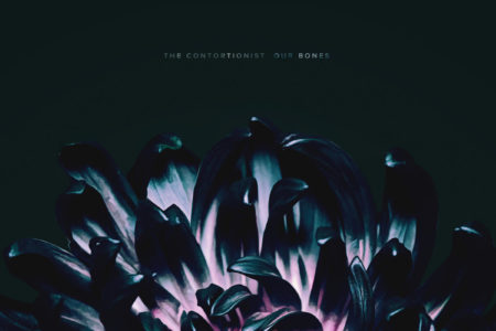 The Contortionist - Our Bones - Albumcover