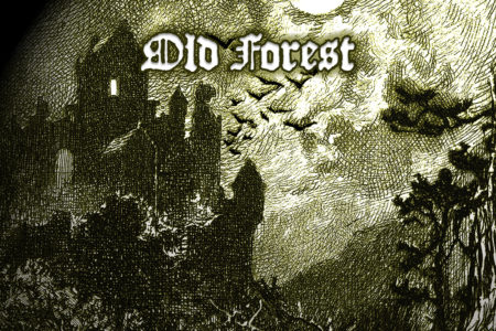 Cover-Artwork - Old Forest - Back Into The Old Forest