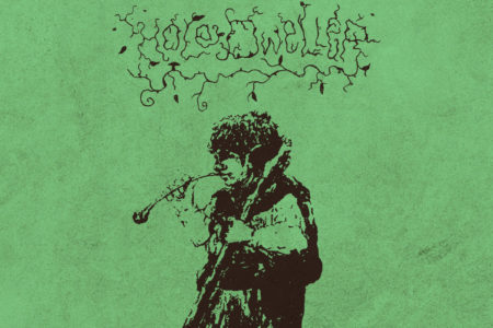 Hole Dweller - flies the coop (Cover)