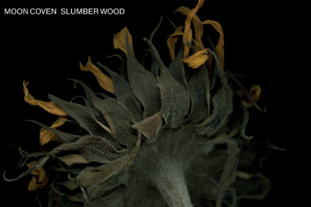 Moon-Coven-Slumber-Wood-Cover