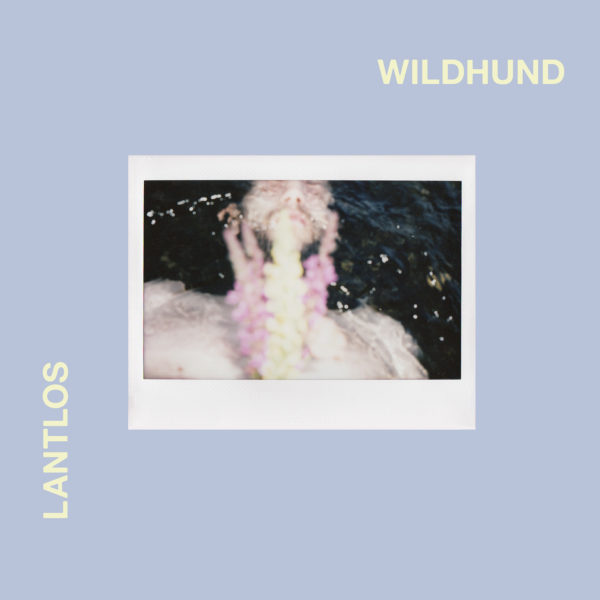 Bild Lantlos - Wildhund Cover