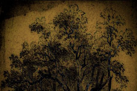 Velibor Nikolić - Paranormala cover