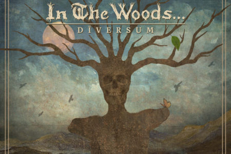 Cover Artwork von IN THE WOODS... - "Diversum"