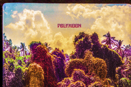 Polymoon - Chrysalis Cover