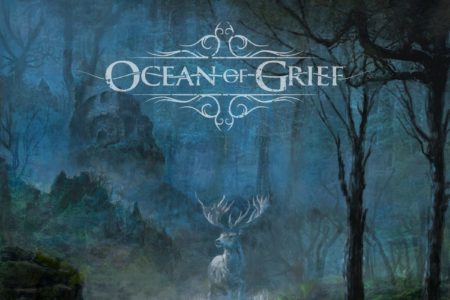 Ocean of Grief - Pale Existence