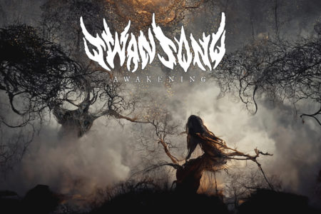 Bild Swansong - Awakening Cover