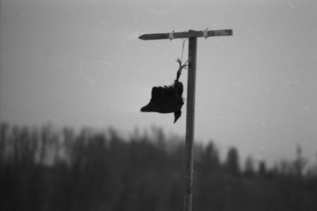 Kohlrabenschwarz 2023