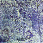 Drowned - Procul His Cover