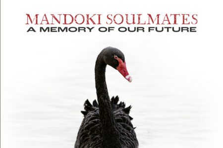 Mandoki Soulmates