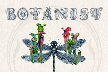 Botanist - Paleobotany